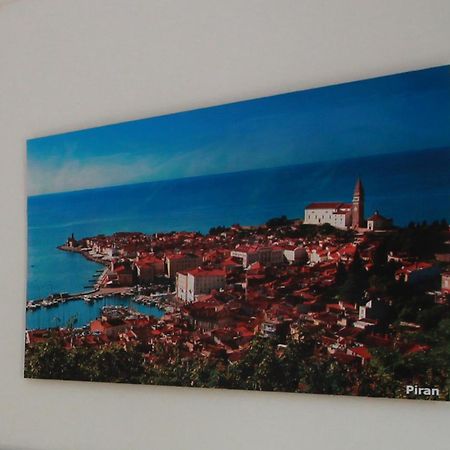 Guesthouse Veles Slovenska Bistrica Rum bild